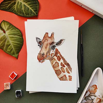 Blog1Giraffe